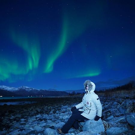 Arctic Rooms Rektor Тромсе Екстер'єр фото